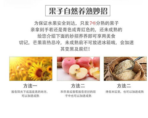 當季海南貴妃芒 熱帶甜蜜，整箱直送到家