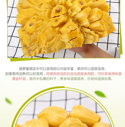 熱帶果王飄香時(shí) 18-22斤海南三亞菠蘿蜜批發(fā)指南