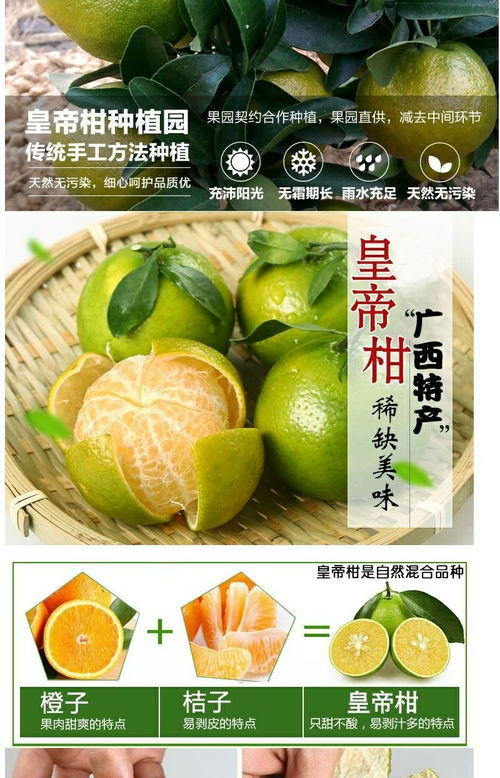 廣西皇帝柑 應(yīng)季鮮果，薄皮多汁，整箱批發(fā)包郵到家
