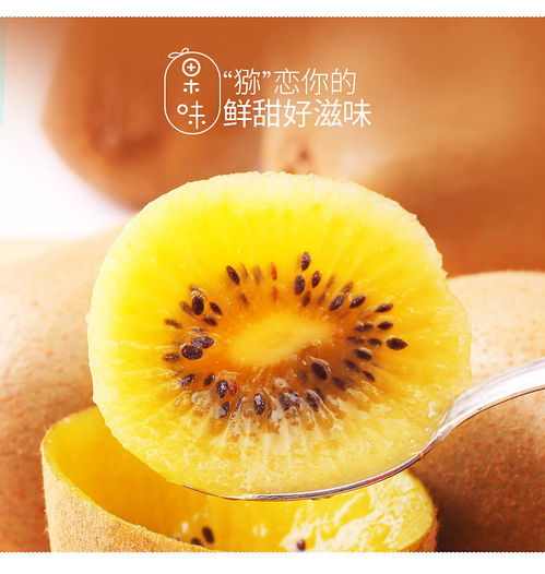 四川黃心獼猴桃 新鮮現(xiàn)摘，季節(jié)性批發(fā)優(yōu)選